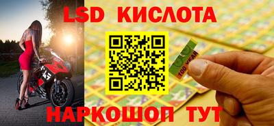 молекула духа Будённовск