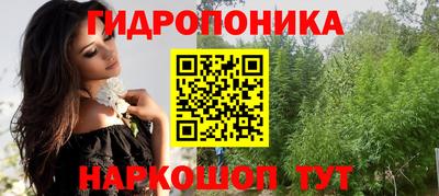 молекула духа Будённовск
