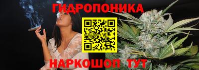 молекула духа Будённовск