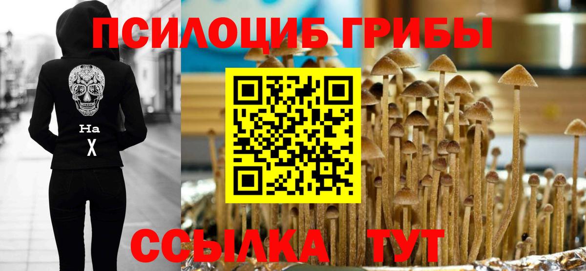 Галлюциногенные грибы мицелий  Вход с VPN  Кимовск  Псилоцибиновые грибы Cubensis 